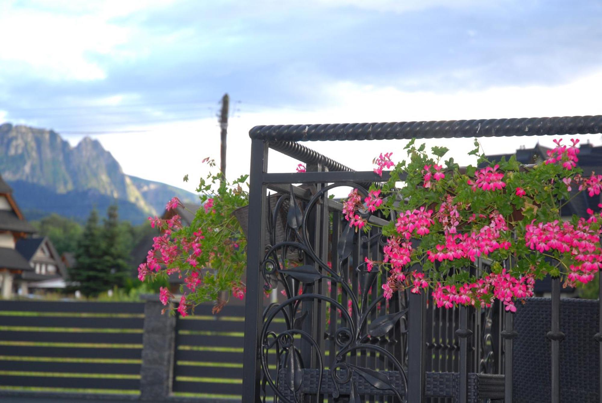 "Czarna Turnia "Zakopane Bed & Breakfast Dış mekan fotoğraf