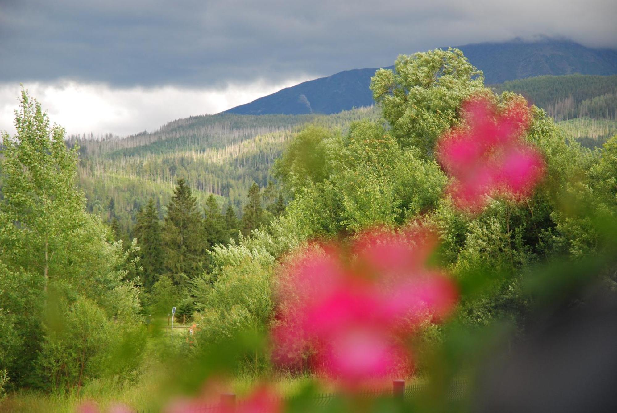 "Czarna Turnia "Zakopane Bed & Breakfast Dış mekan fotoğraf