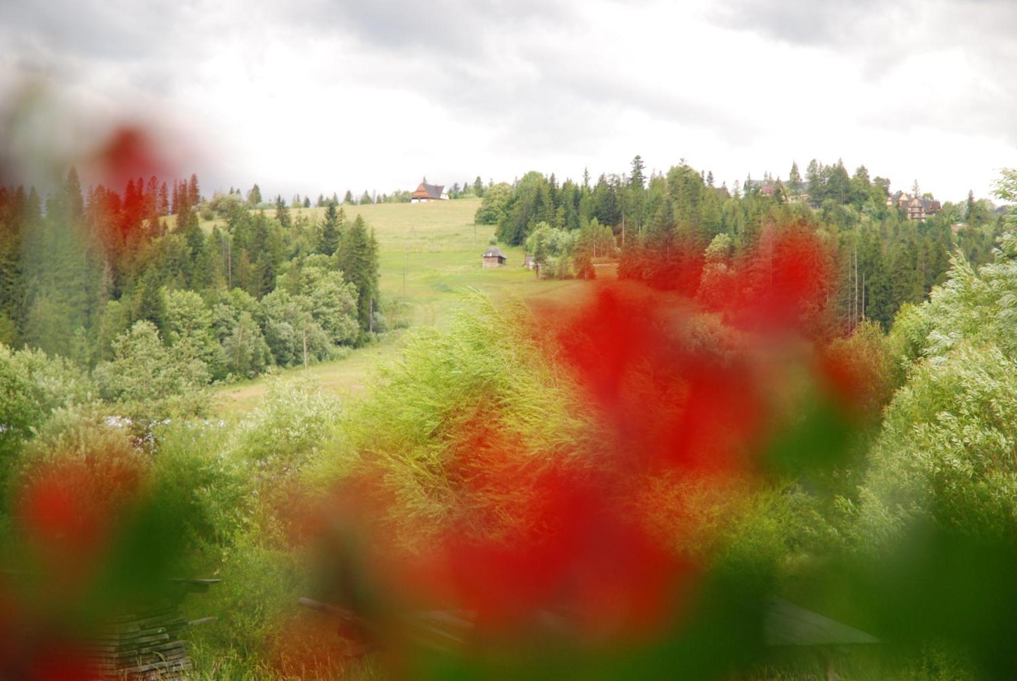 "Czarna Turnia "Zakopane Bed & Breakfast Dış mekan fotoğraf