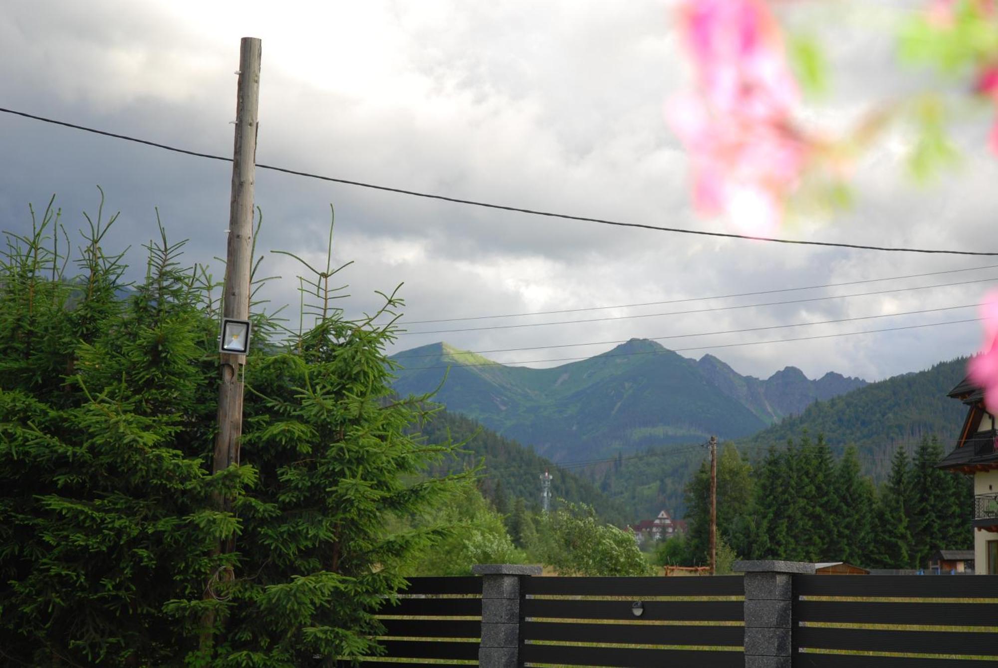 "Czarna Turnia "Zakopane Bed & Breakfast Dış mekan fotoğraf